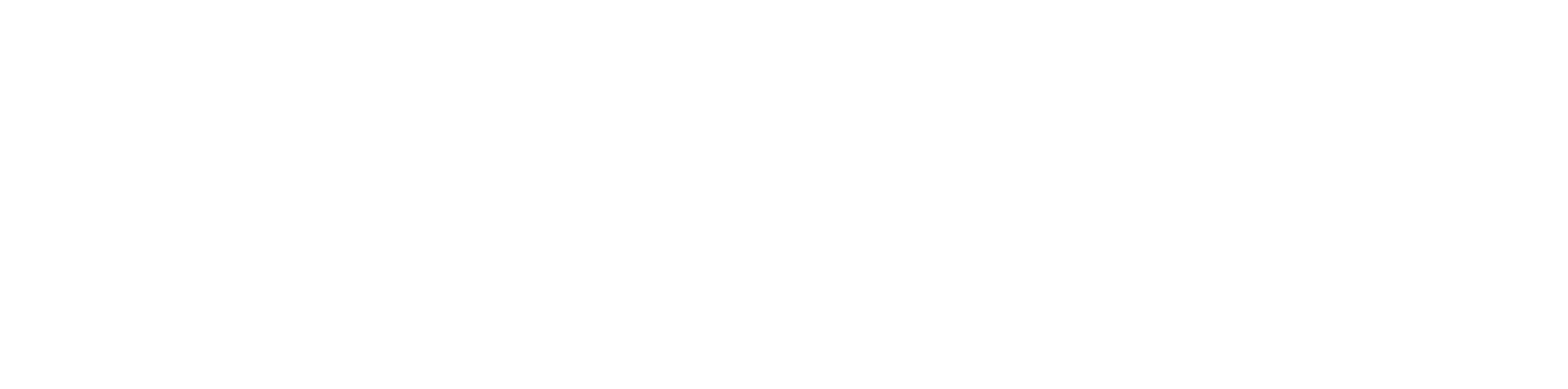 RaceIQ